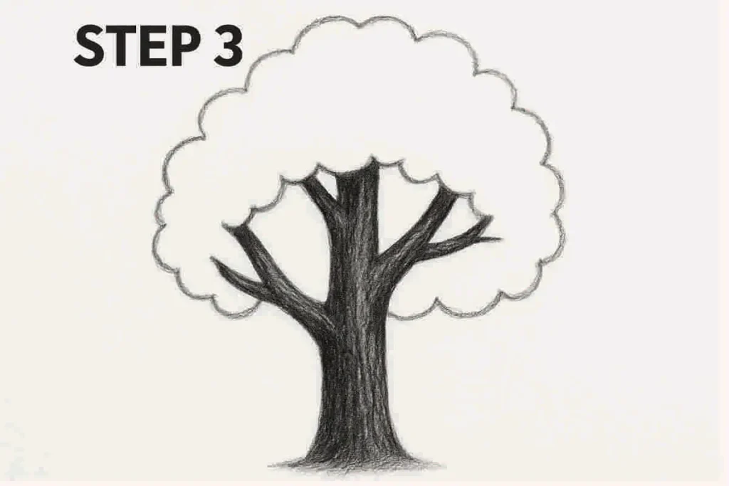 Tree drawing with trunk and branches shaded in dark pencil and bold outline of cloud-like canopy above, on white background